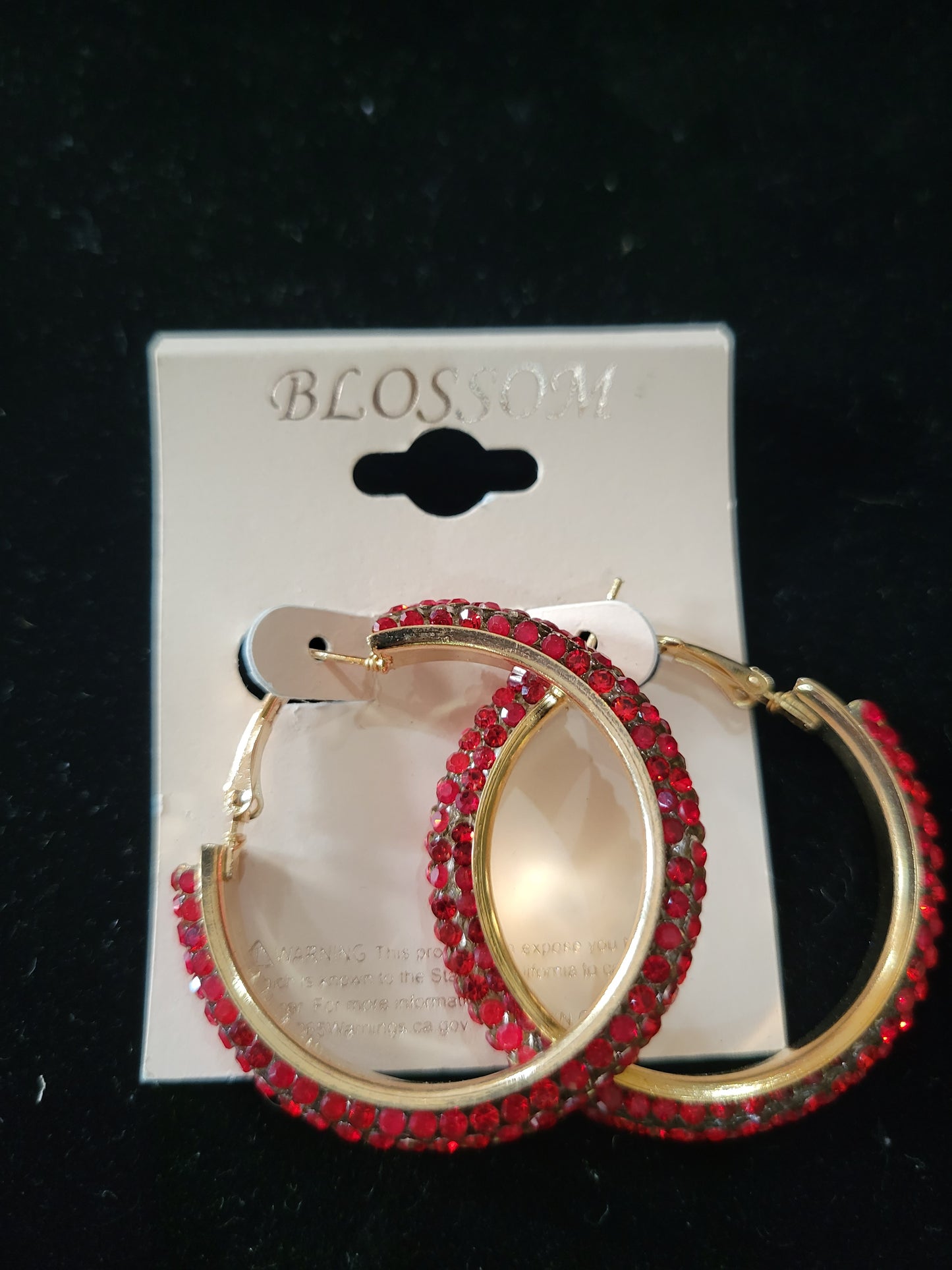 Colorful Hoop Earrings