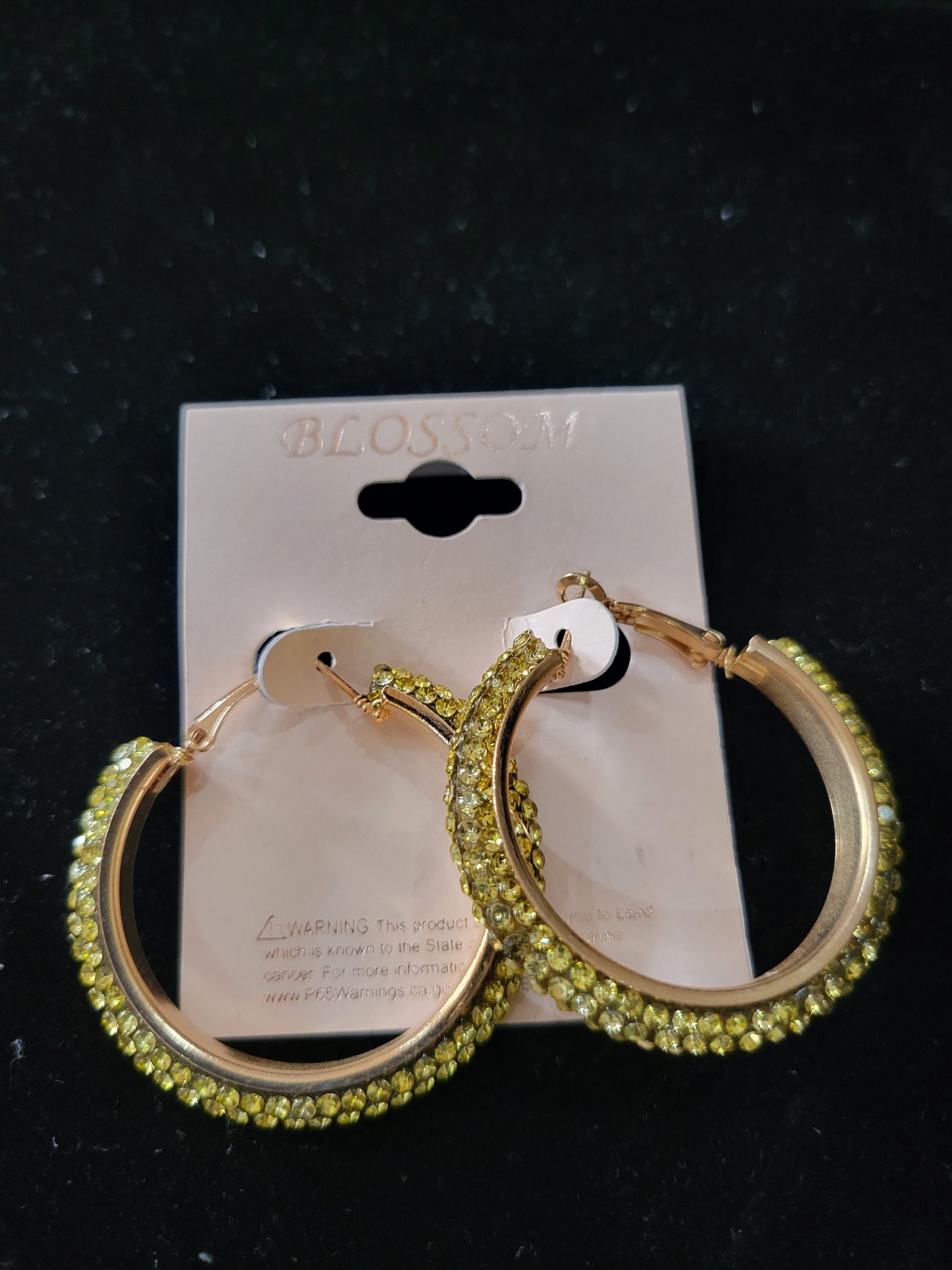 Colorful Hoop Earrings