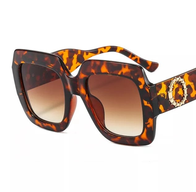 Modern Square Ladies Sunglasses